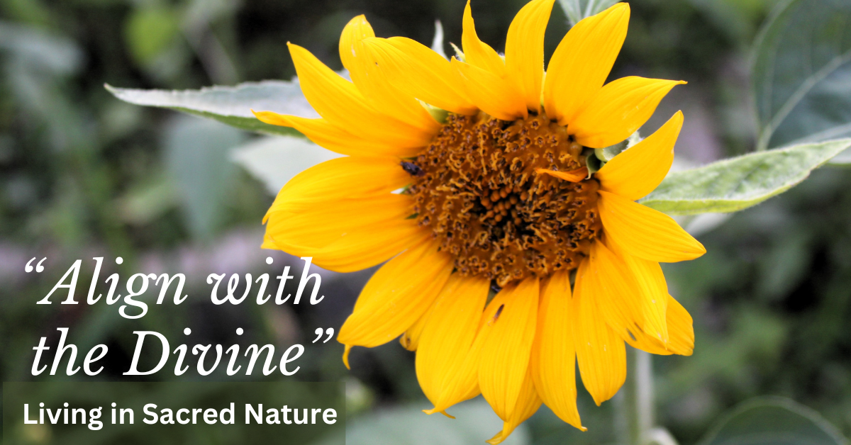 Align with the Divine: Living in Sacred Nature