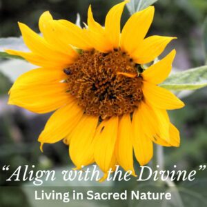 Align with the Divine: Living in Sacred Nature