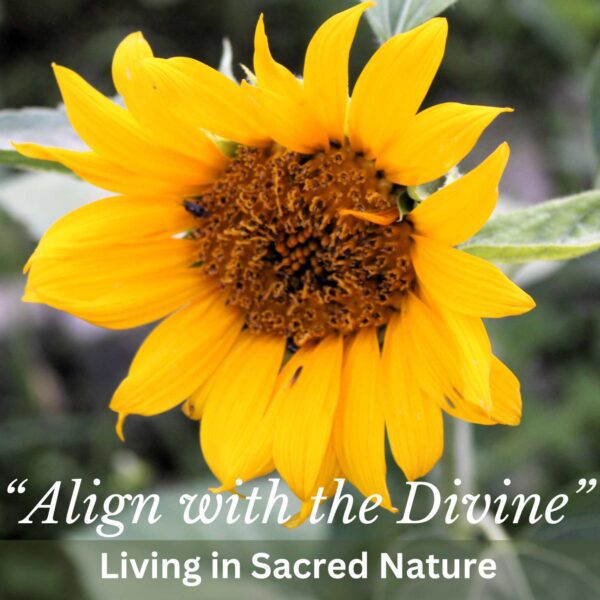 Discover & Harmonize with Your Core Sacred Self Hear God's Messages for You in Nature